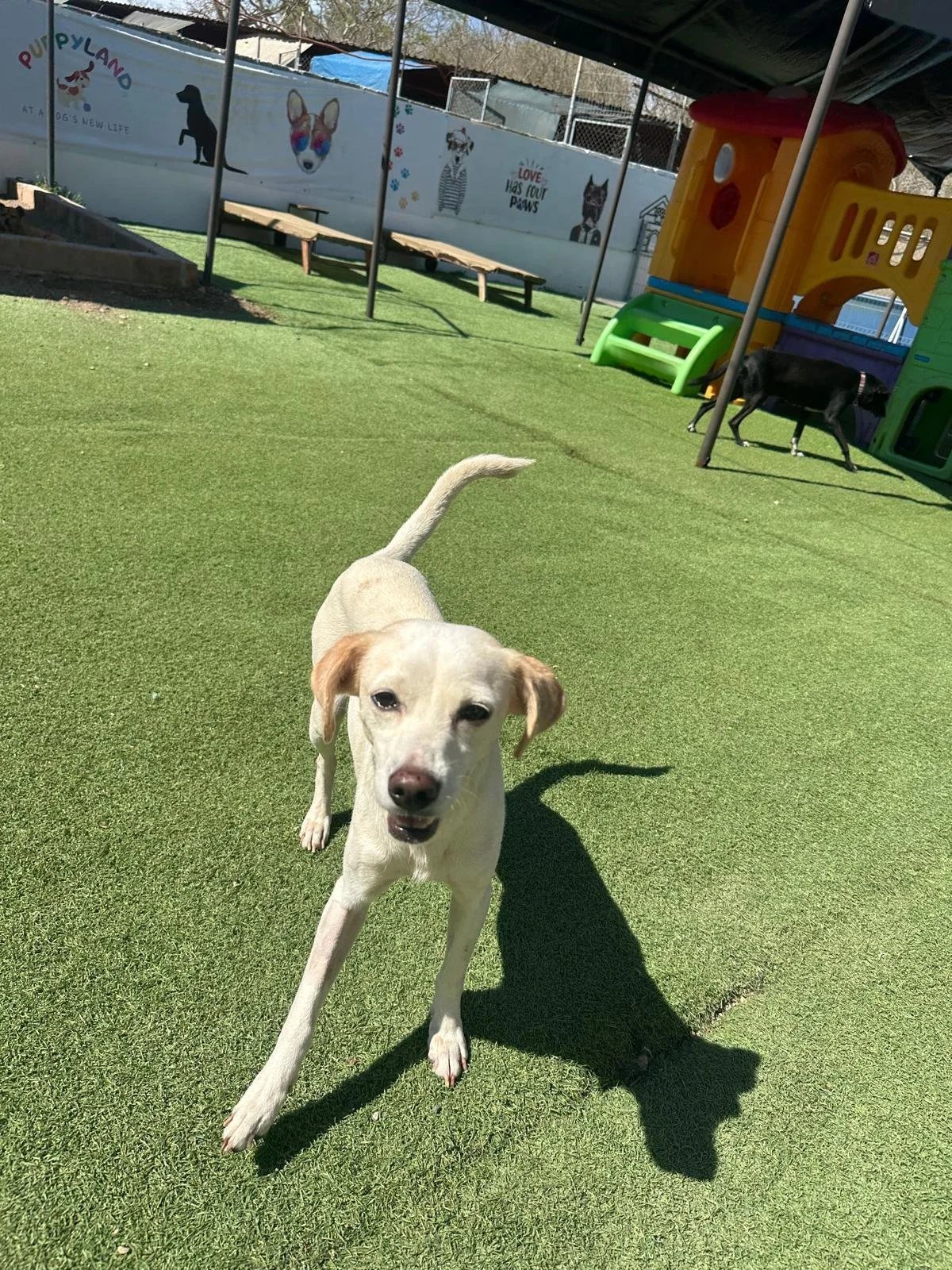 WhatsApp Image 2026-04-03 at 5.28.13 PM (3).jpeg