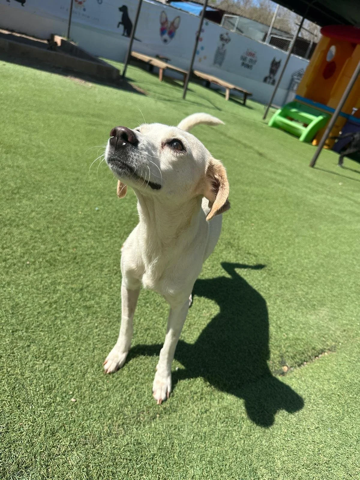 WhatsApp Image 2026-04-03 at 5.28.13 PM (4).jpeg