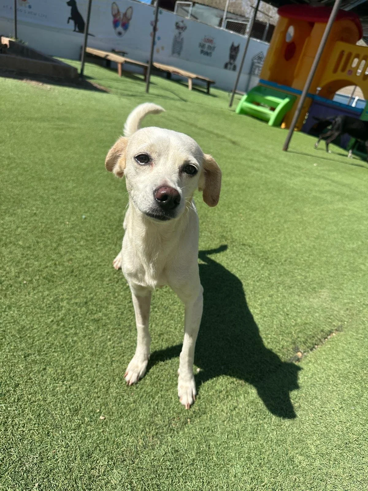 WhatsApp Image 2026-04-03 at 5.28.13 PM (5).jpeg