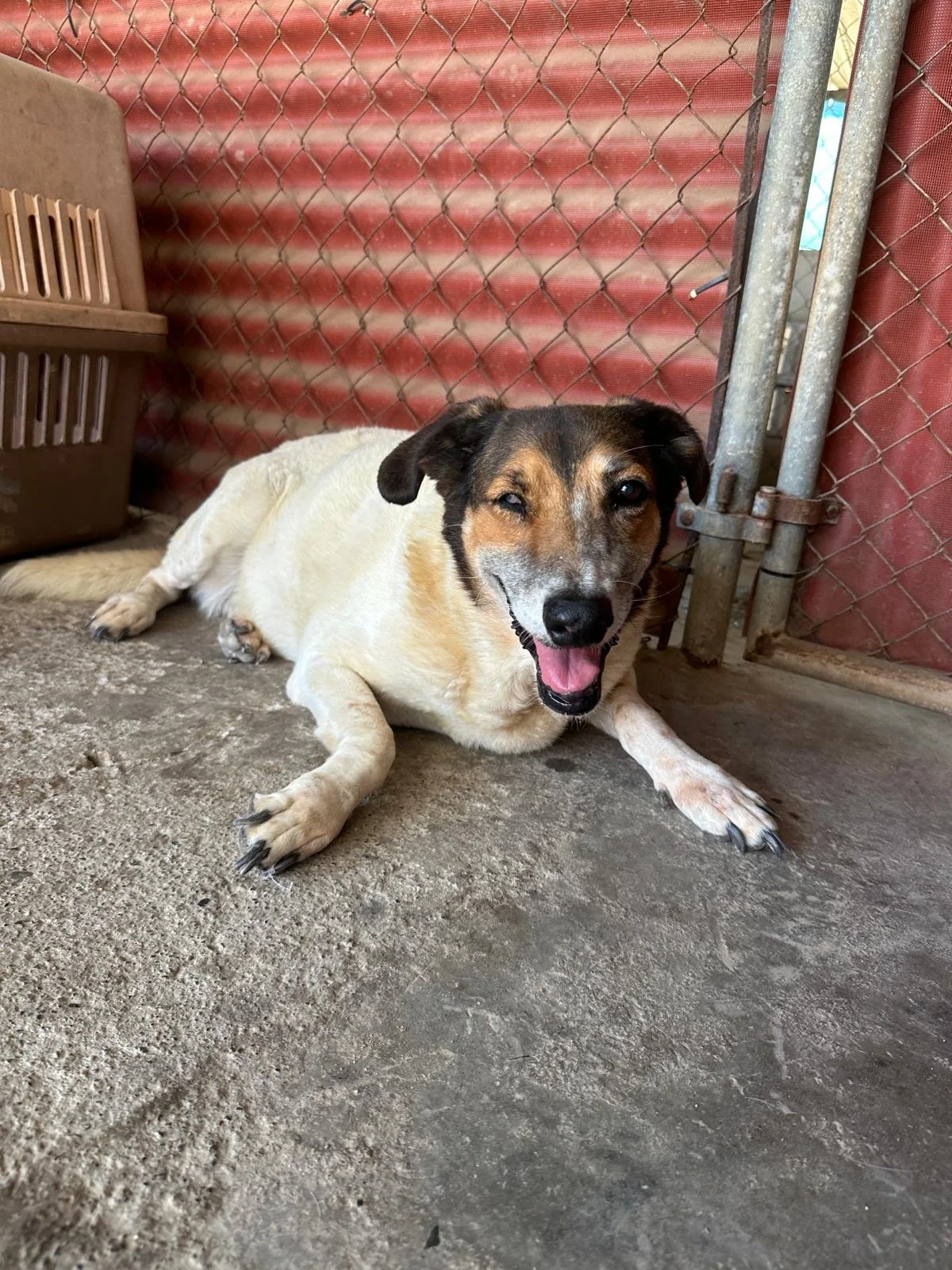 WhatsApp Image 2026-04-02 at 3.44.32 PM.jpeg