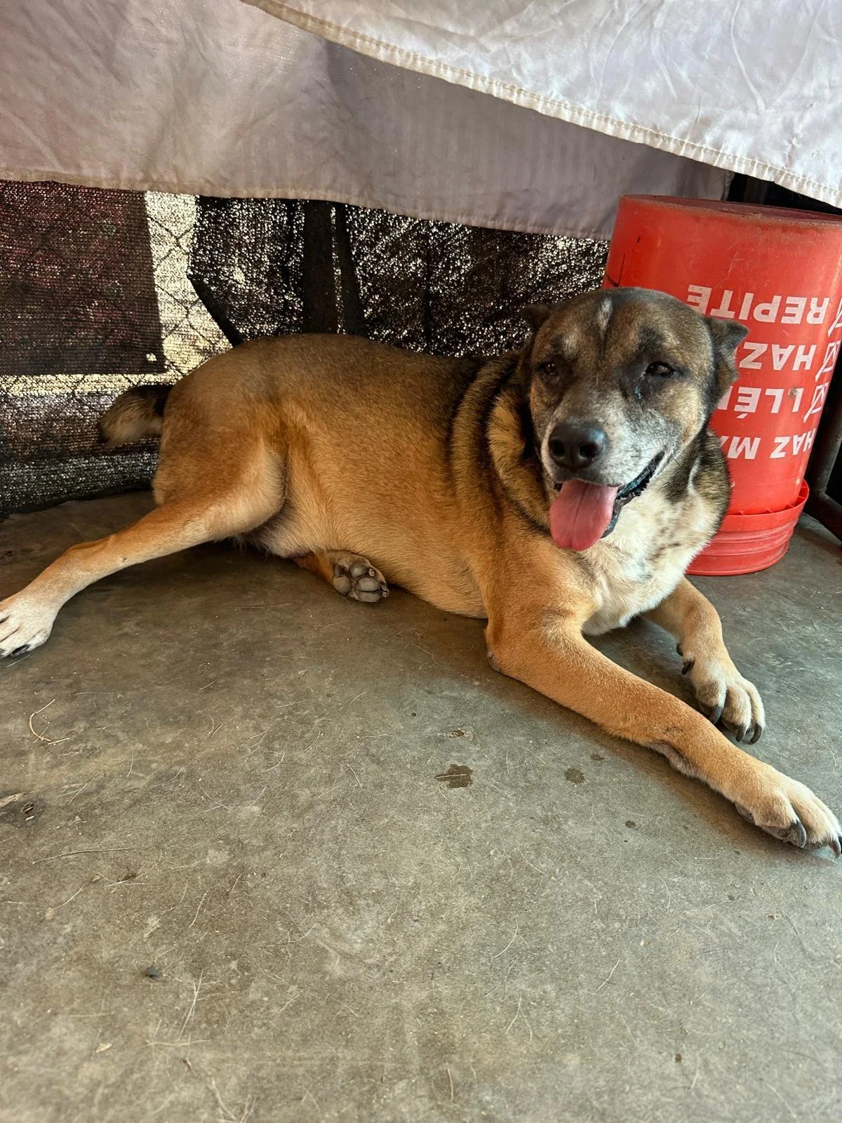 WhatsApp Image 2026-04-02 at 3.38.12 PM.jpeg