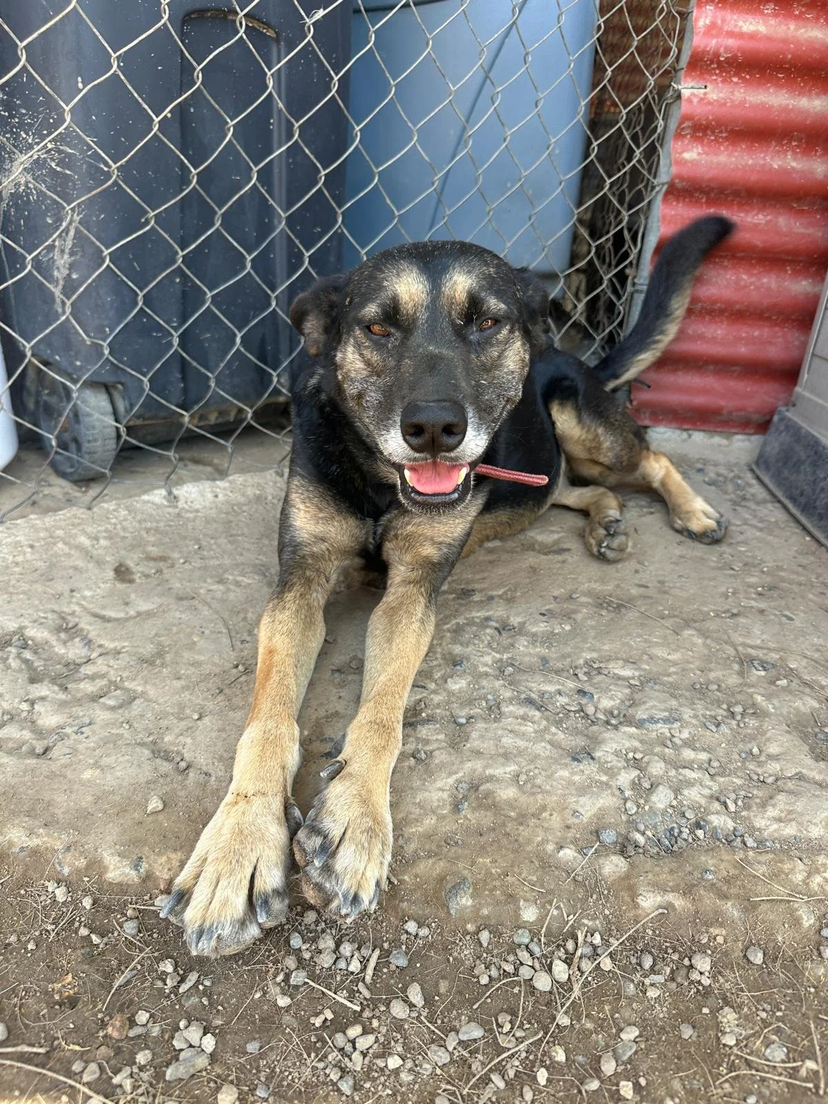 WhatsApp Image 2026-04-02 at 3.36.54 PM.jpeg