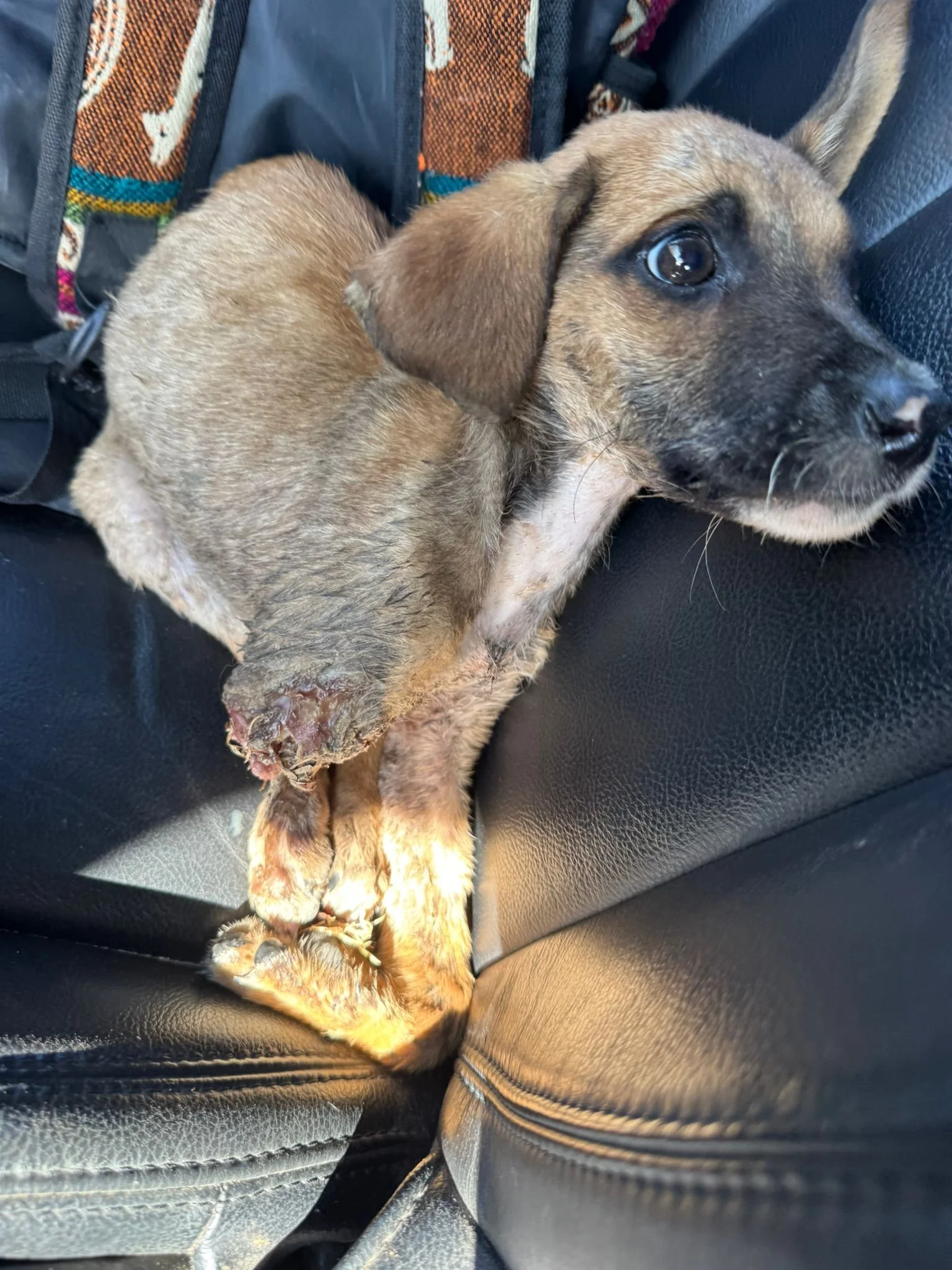 WhatsApp Image 2026-04-03 at 1.30.42 PM.jpeg