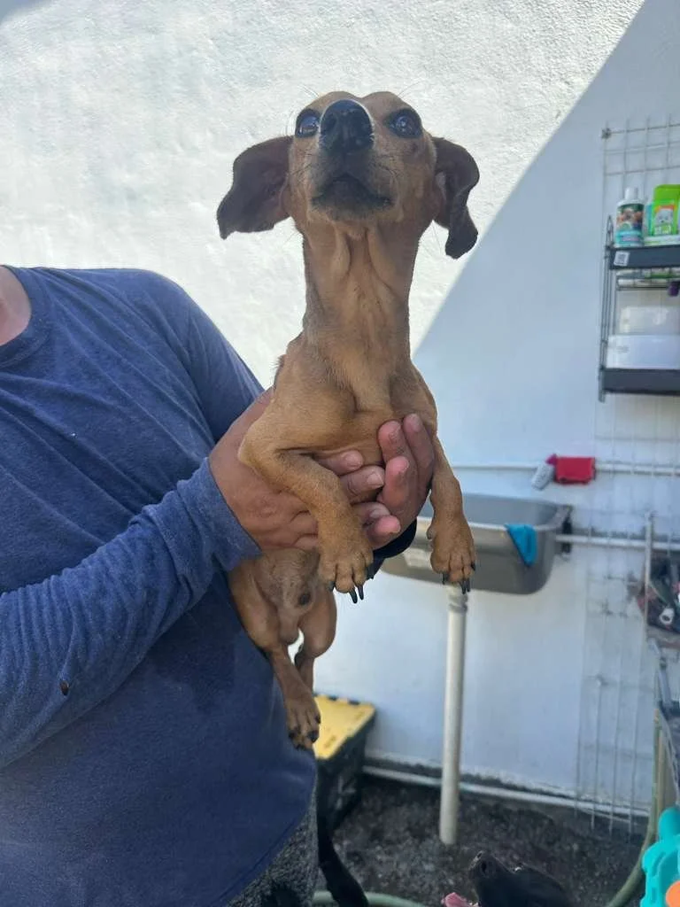 WhatsApp Image 2026-04-03 at 6.39.04 PM.jpeg