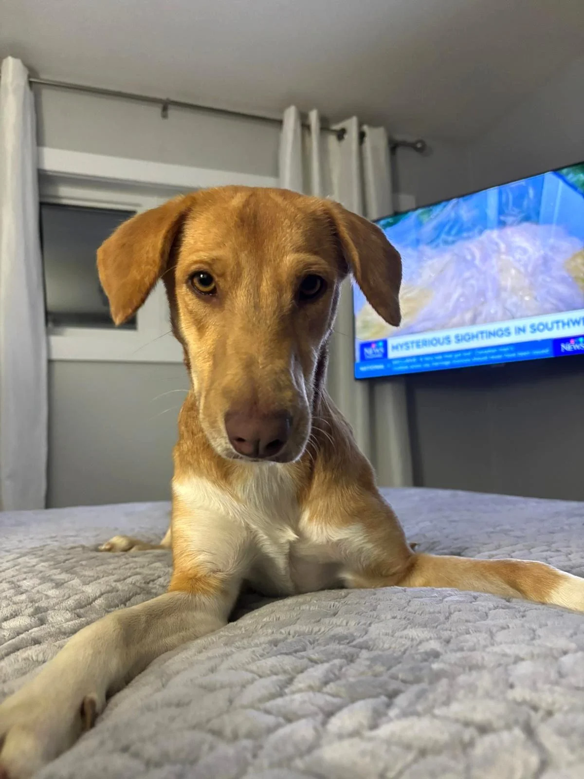 WhatsApp Image 2026-04-09 at 8.57.01 PM.jpeg