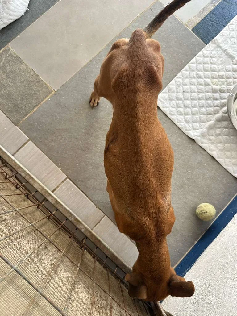 WhatsApp Image 2026-04-10 at 4.09.14 PM.jpeg