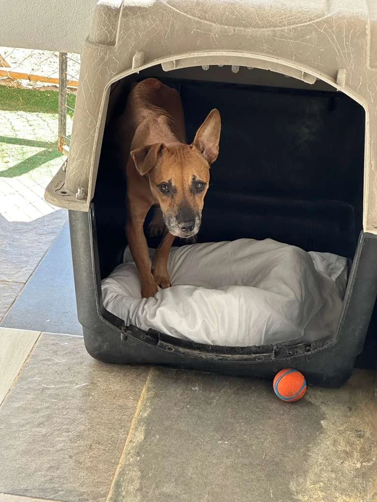 WhatsApp Image 2026-04-10 at 3.49.28 PM.jpeg