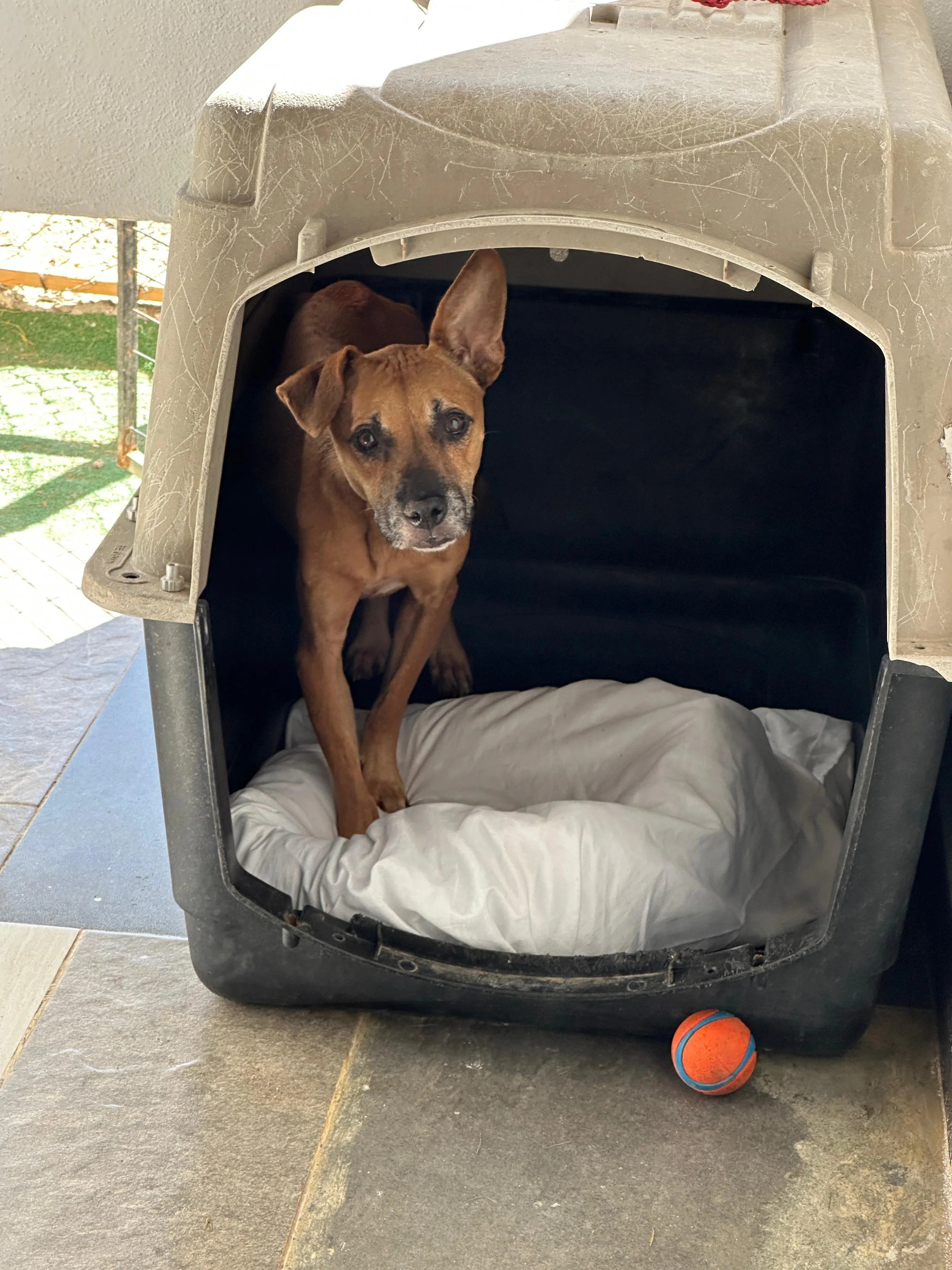 WhatsApp Image 2026-04-10 at 3.49.32 PM.jpeg