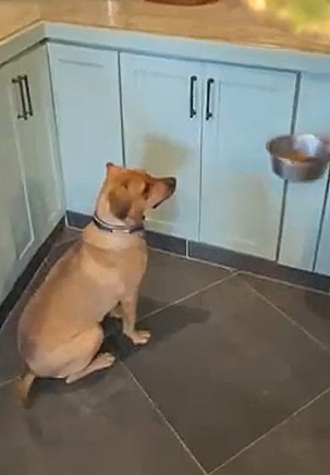 Screenshot 2026-04-13 141748.png