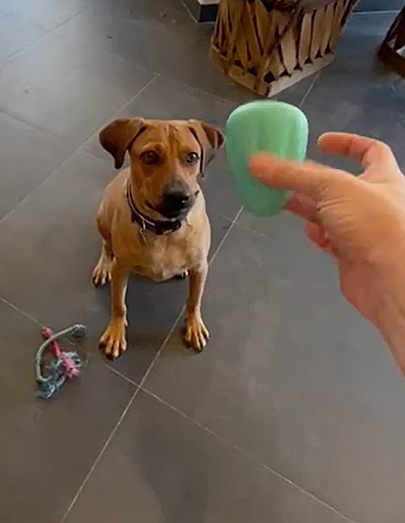 Screenshot 2026-04-13 141311.png