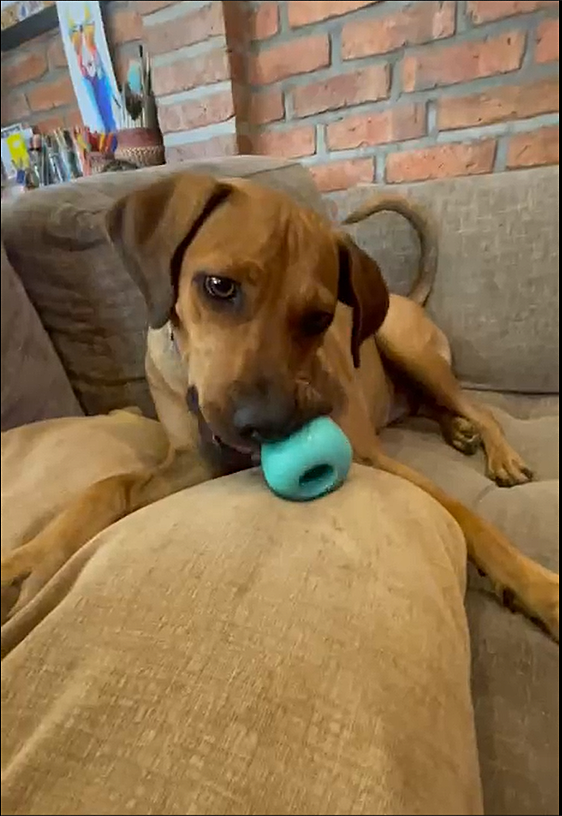 Screenshot 2026-04-13 143445.png