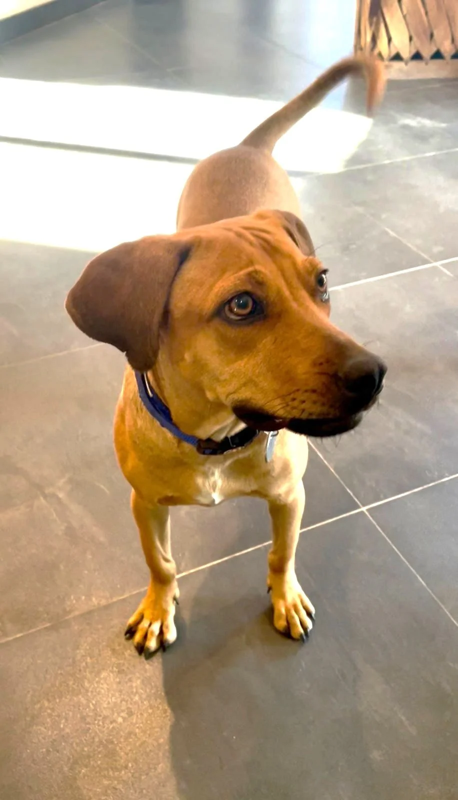 WhatsApp Image 2026-04-13 at 3.01.26 PM (3).jpeg