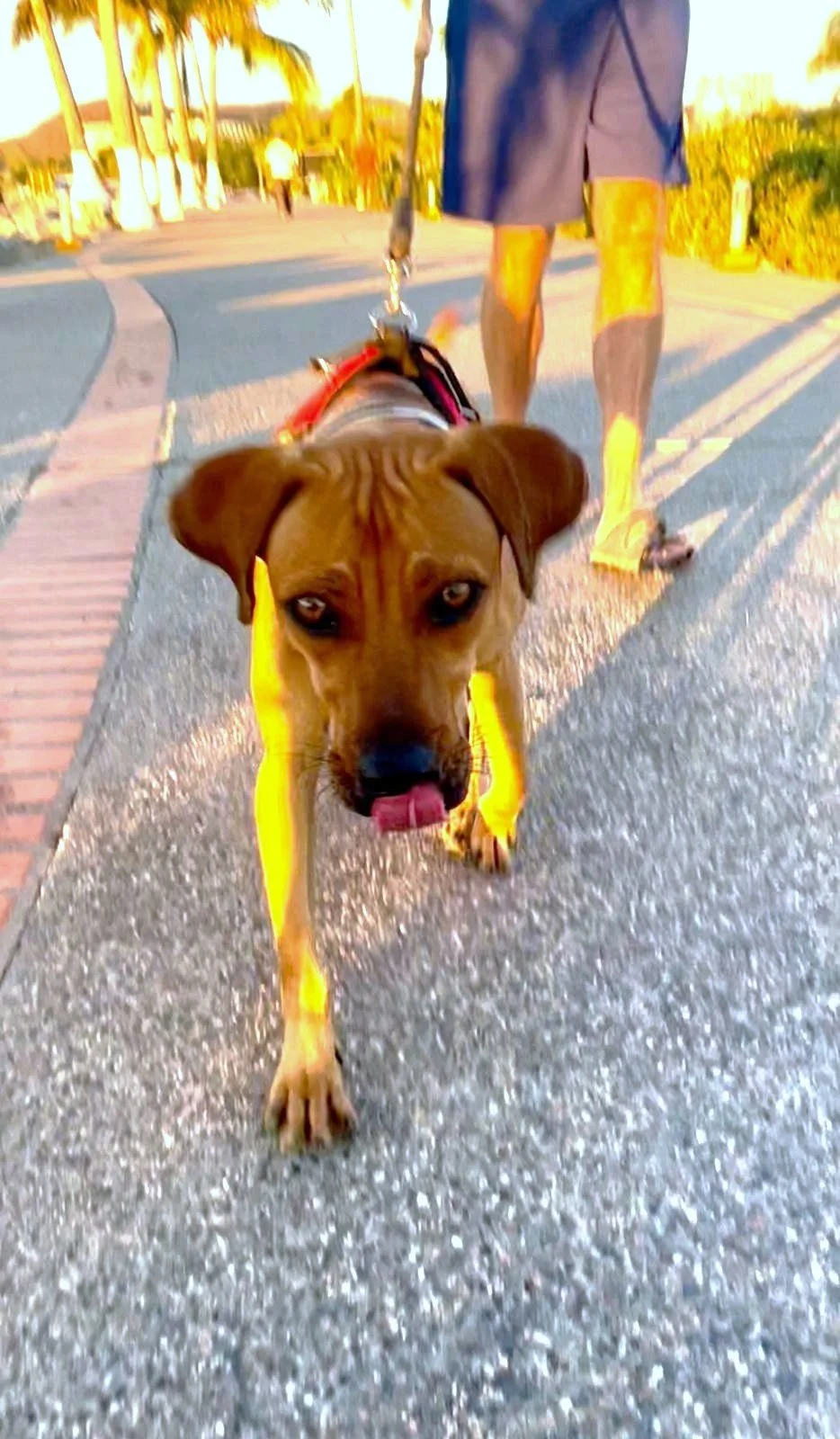 WhatsApp Image 2026-04-13 at 3.01.26 PM (2).jpeg