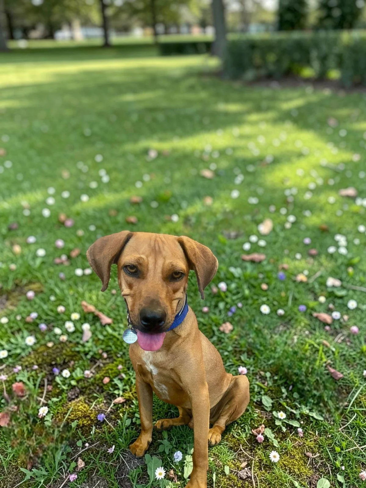 WhatsApp Image 2026-04-13 at 3.01.26 PM.jpg