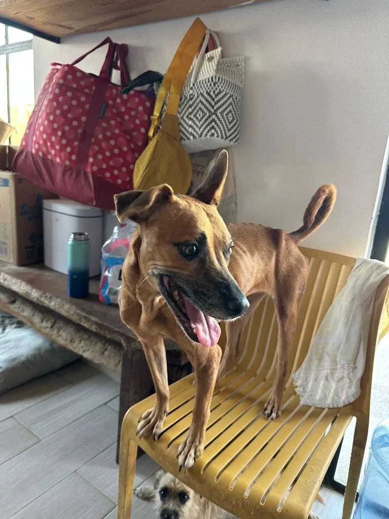 Cinna (5).jpeg