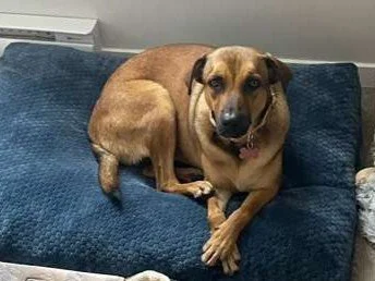 WhatsApp Image 2026-04-13 at 11.34.22 AM.jpeg