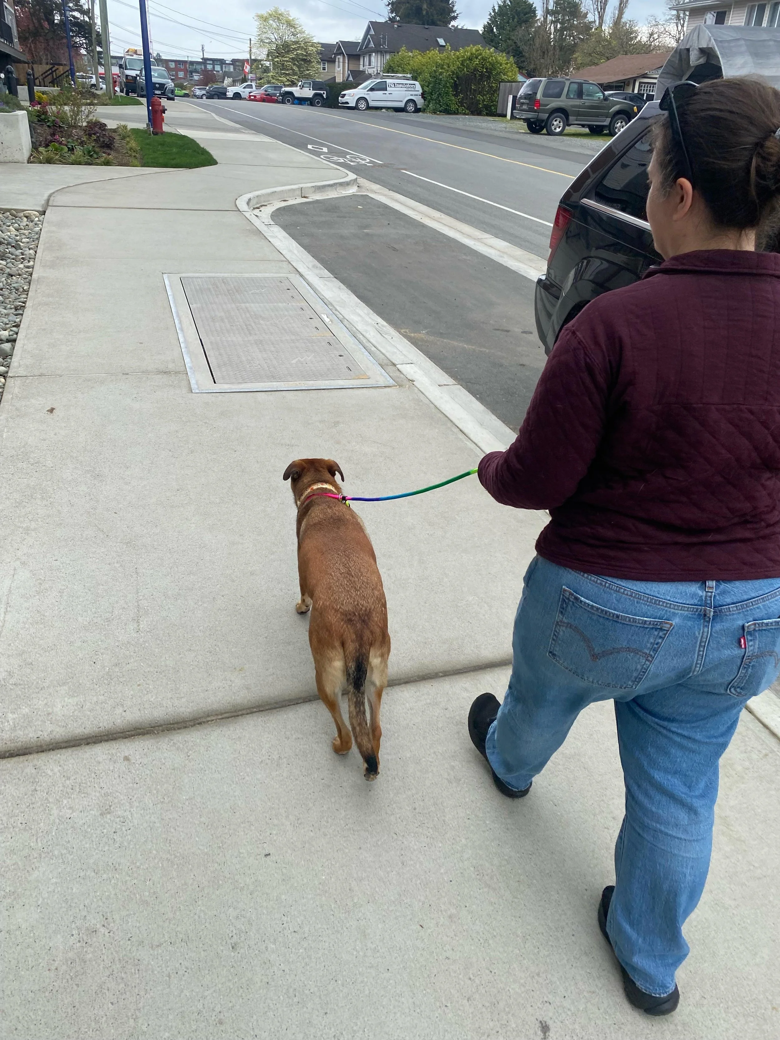 WhatsApp Image 2026-04-13 at 11.34.22 AM (1).jpeg