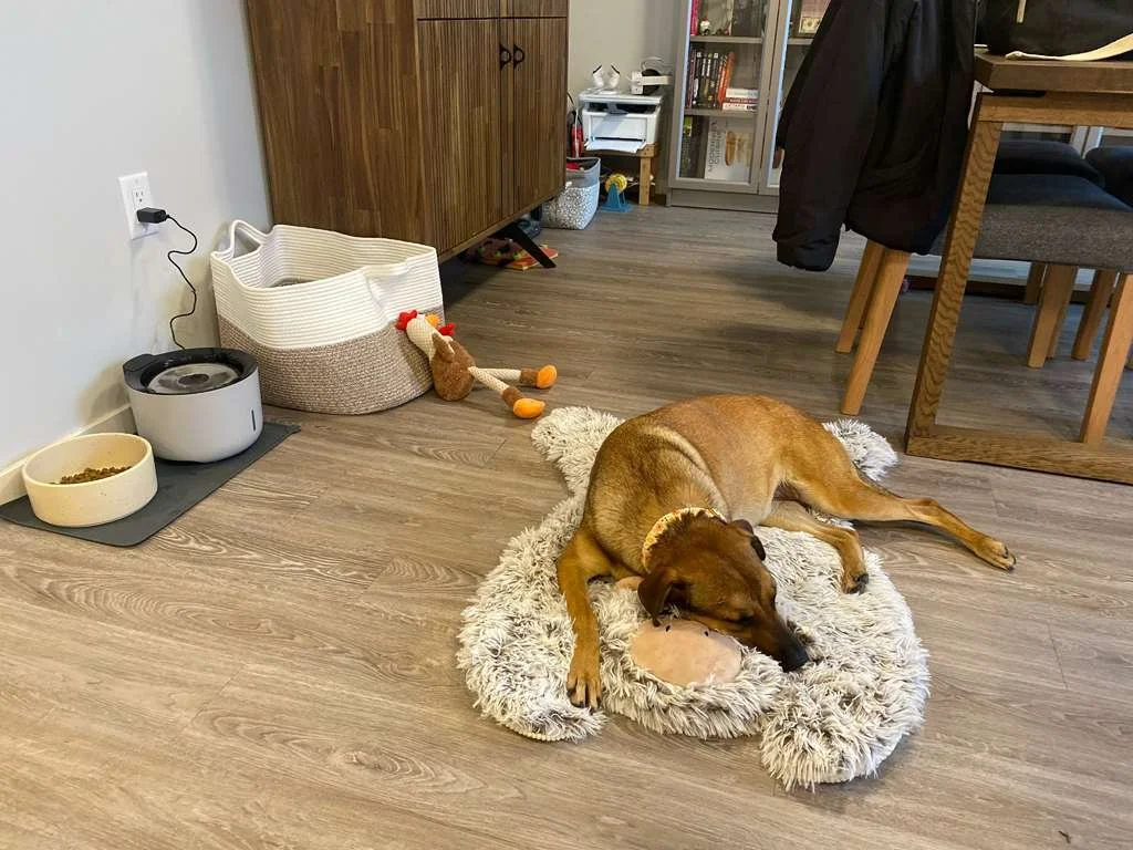 WhatsApp Image 2026-04-24 at 3.23.30 PM.jpeg