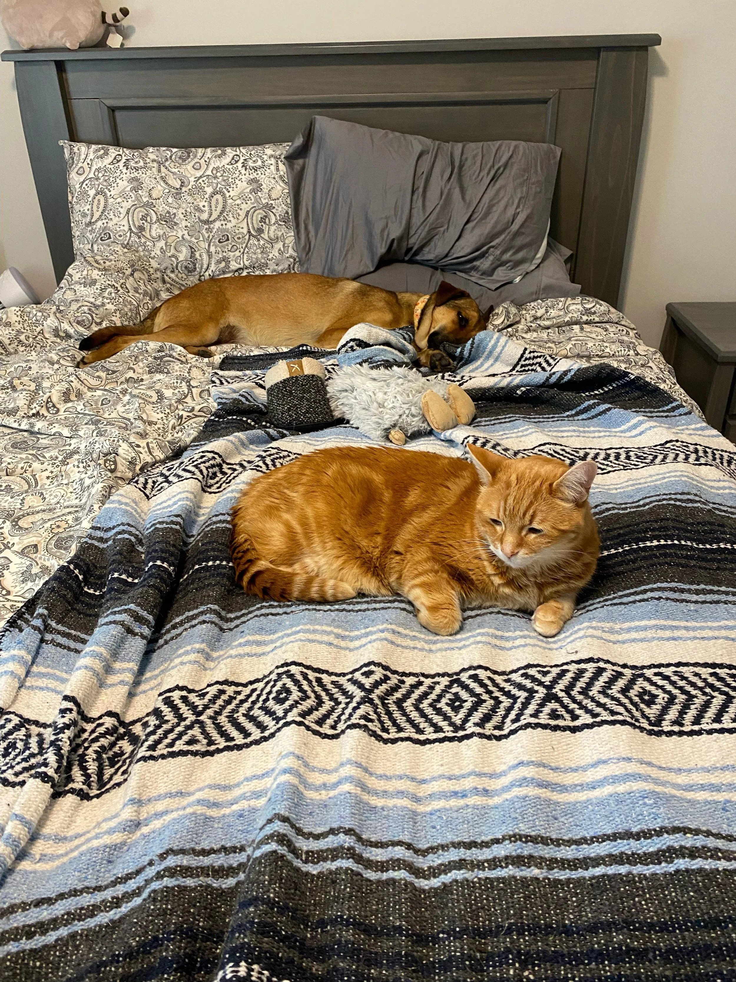 WhatsApp Image 2026-04-14 at 8.32.34 PM (1).jpeg