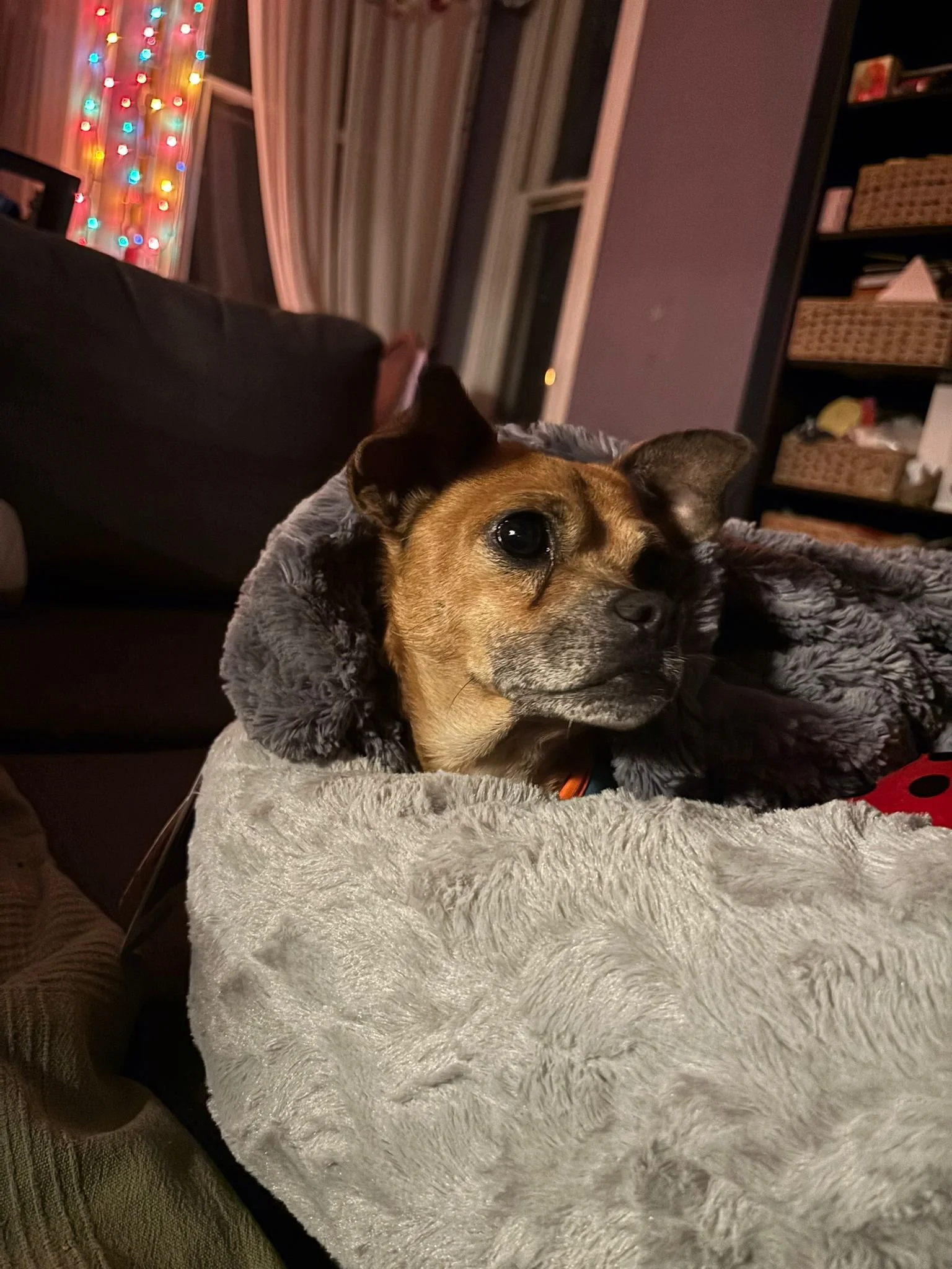 WhatsApp Image 2026-04-24 at 8.28.14 PM.jpeg