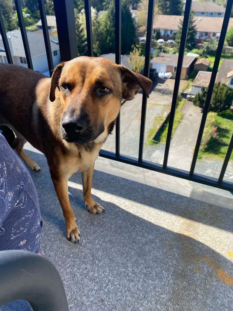 WhatsApp Image 2026-04-25 at 11.14.43 AM.jpeg