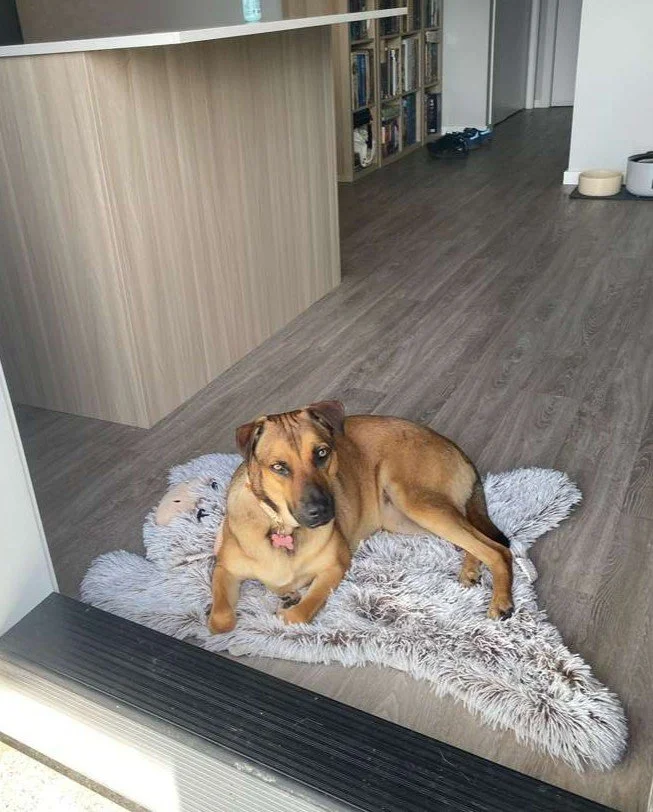 WhatsApp Image 2026-04-25 at 11.08.04 AMx.jpeg