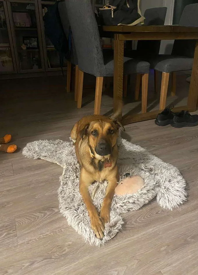 WhatsApp Image 2026-04-25 at 11.08.04 AM x.jpeg