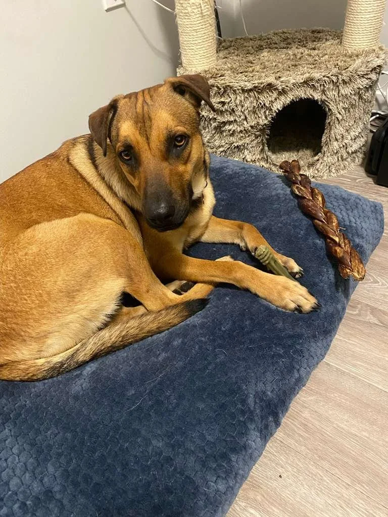 WhatsApp Image 2026-04-25 at 11.11.58 AM.jpeg