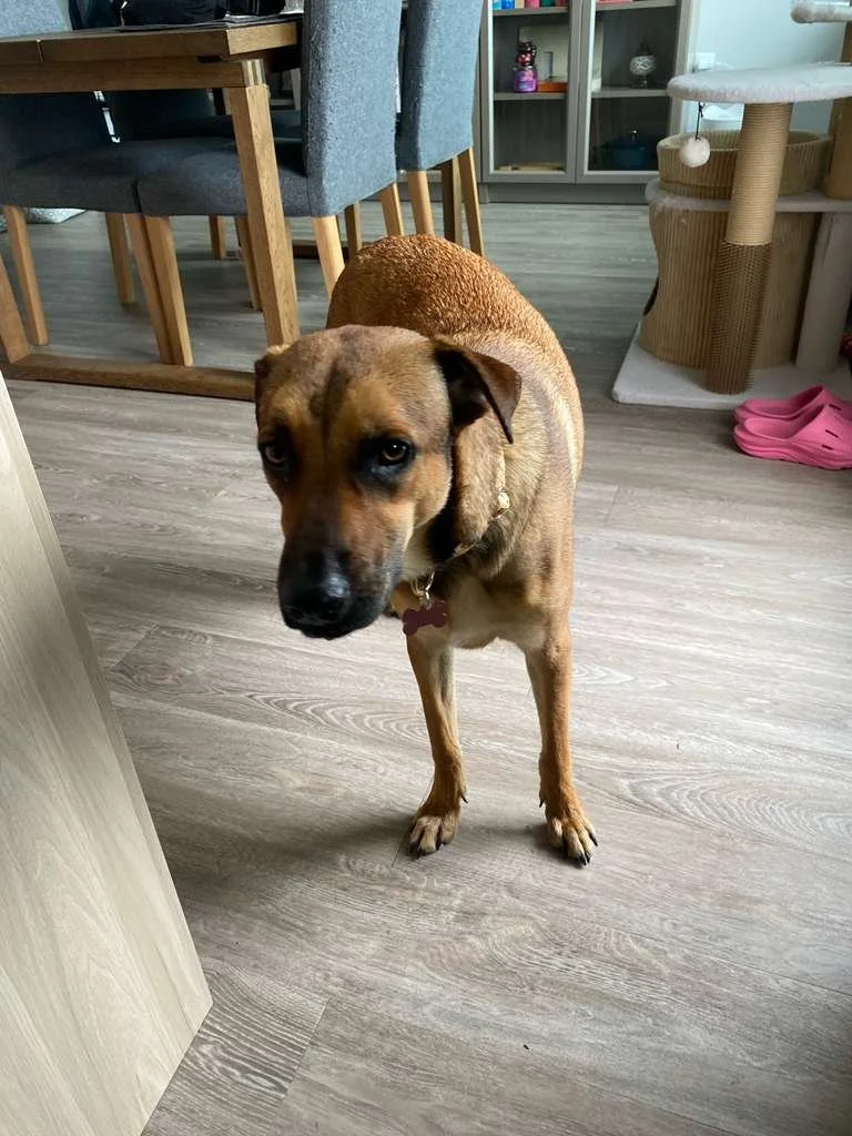 WhatsApp Image 2026-04-25 at 11.11.57 AM (1).jpeg