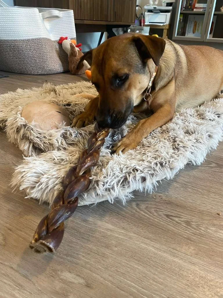 WhatsApp Image 2026-04-25 at 11.11.57 AM.jpeg