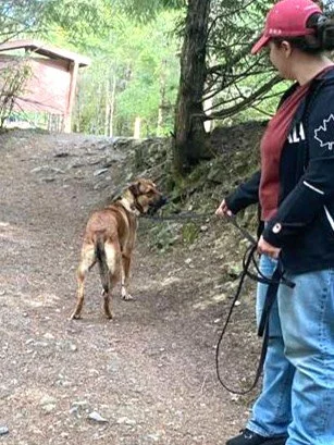 WhatsApp Image 2026-04-28 at 10.30.52 AM.jpeg