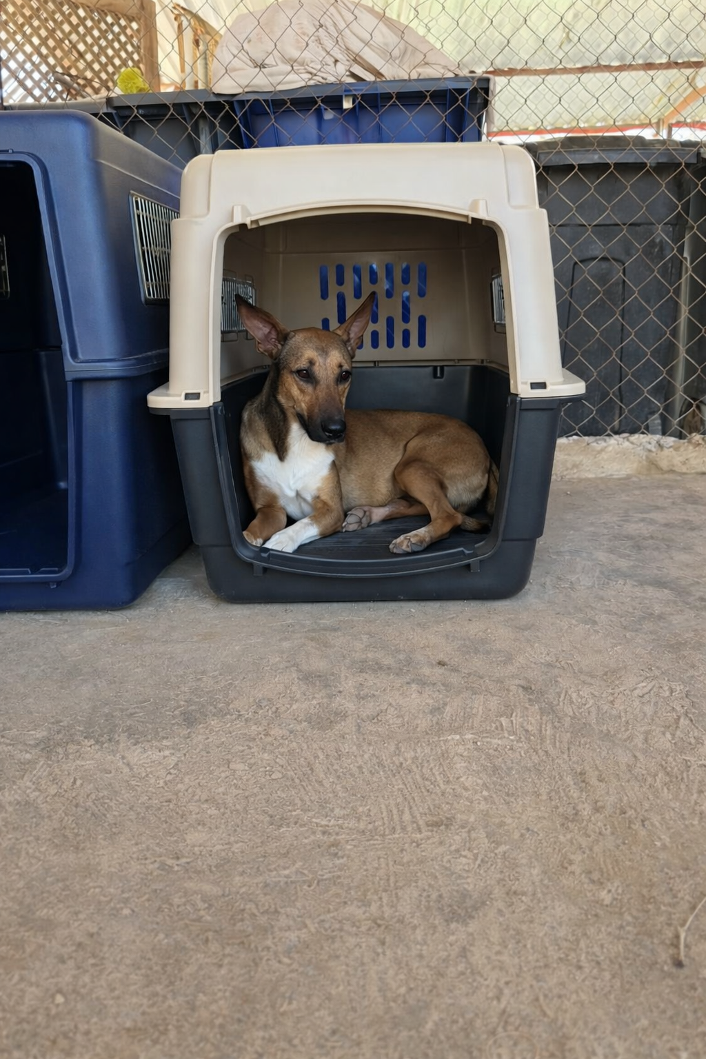 Copilot_20260615_153521.png