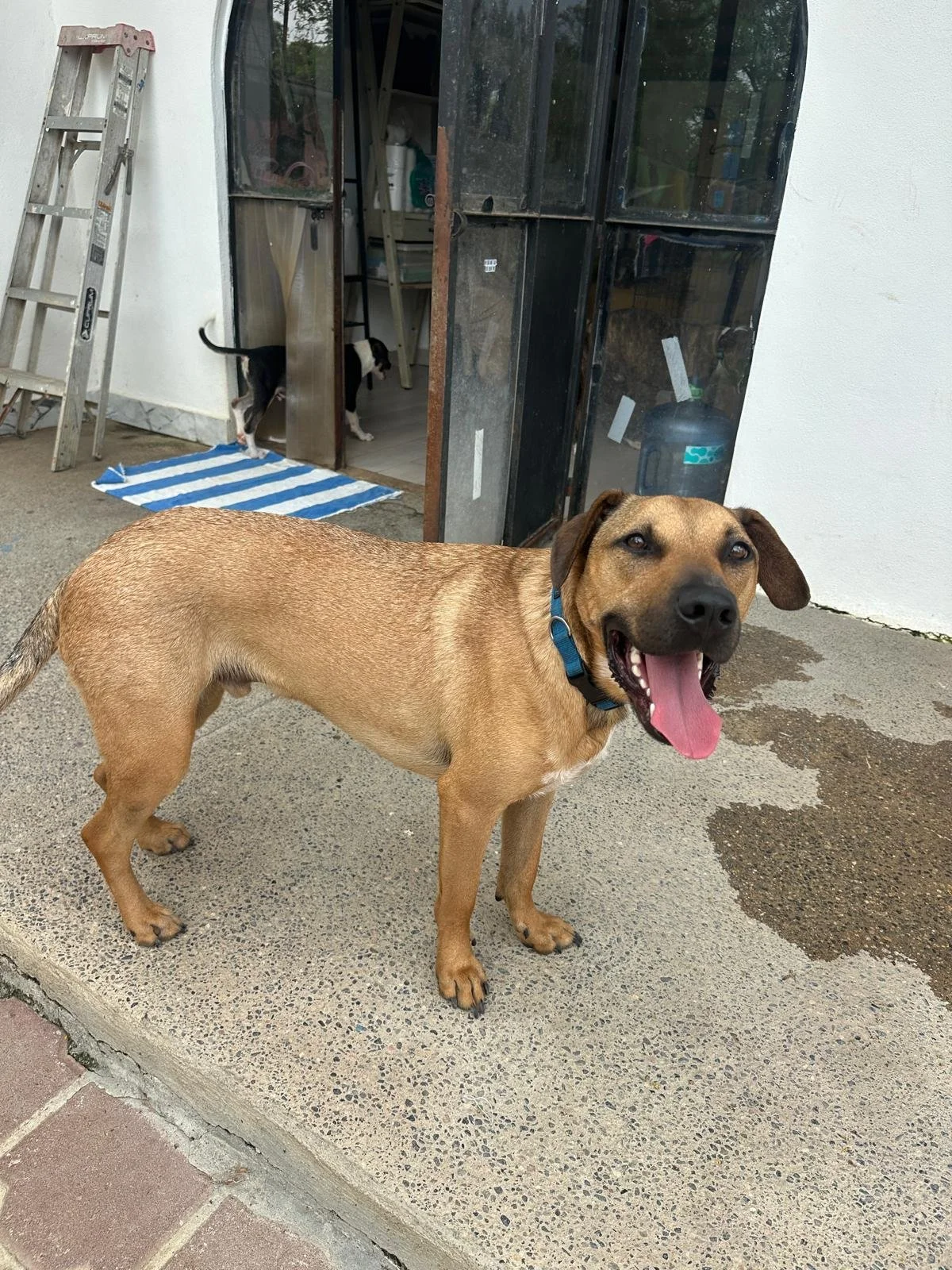 Parker  (7).jpeg
