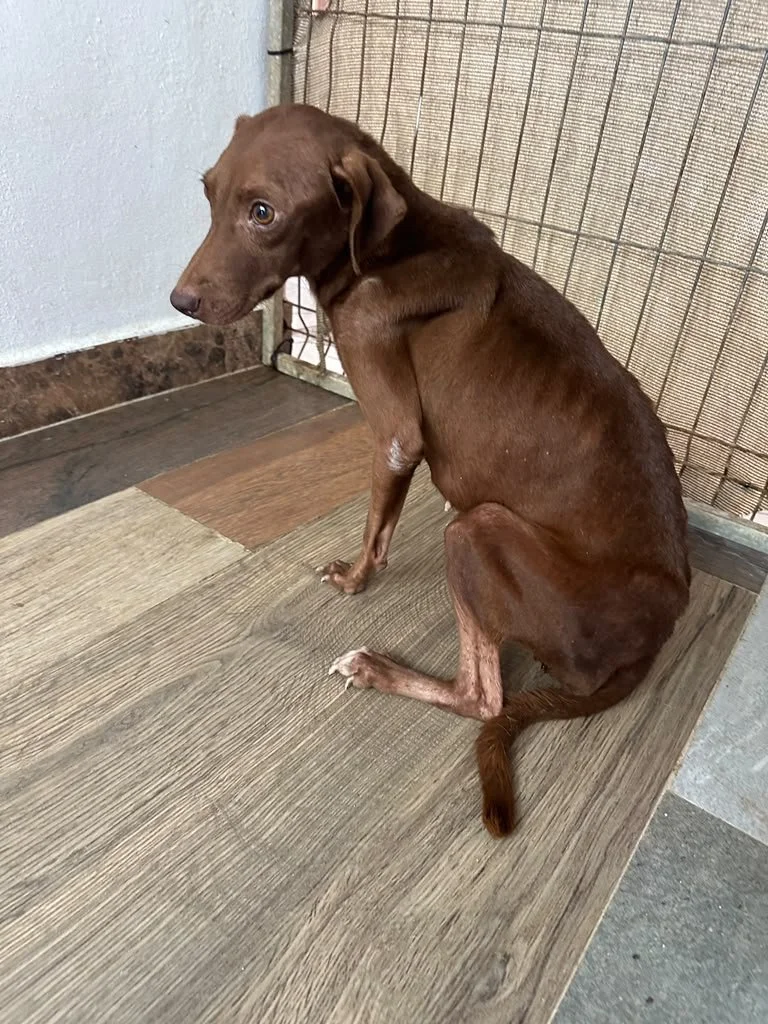 Nutella (7).jpeg