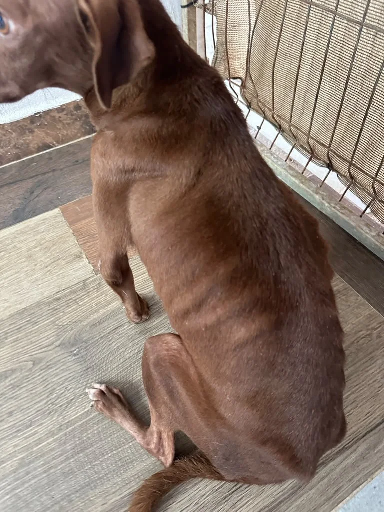 Nutella (8).jpeg