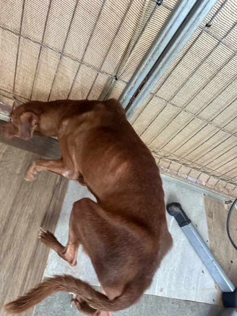 Nutella (16).jpeg