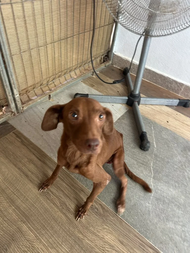 Nutella (18).jpeg