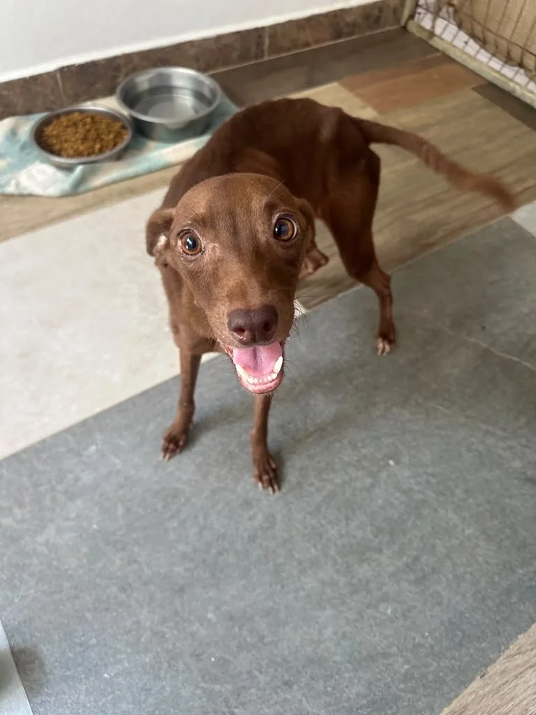 Nutella (19).jpeg