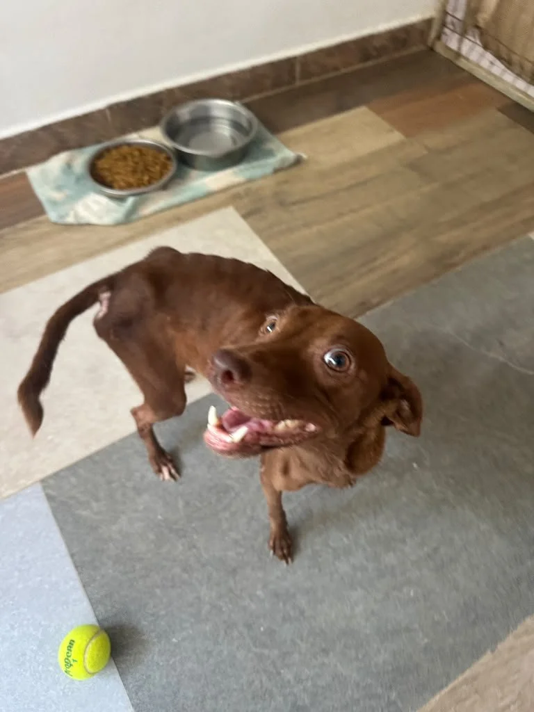 Nutella (21).jpeg