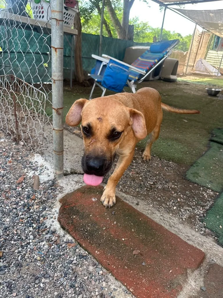 Freya (1).jpeg