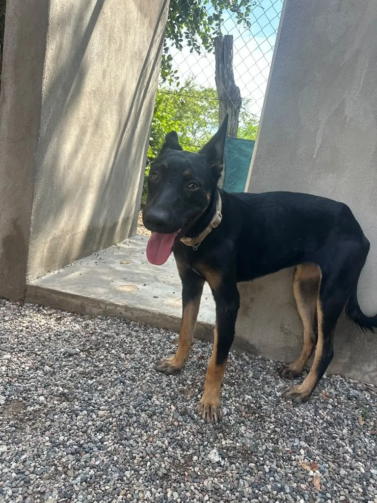 sabrina (3).jpeg