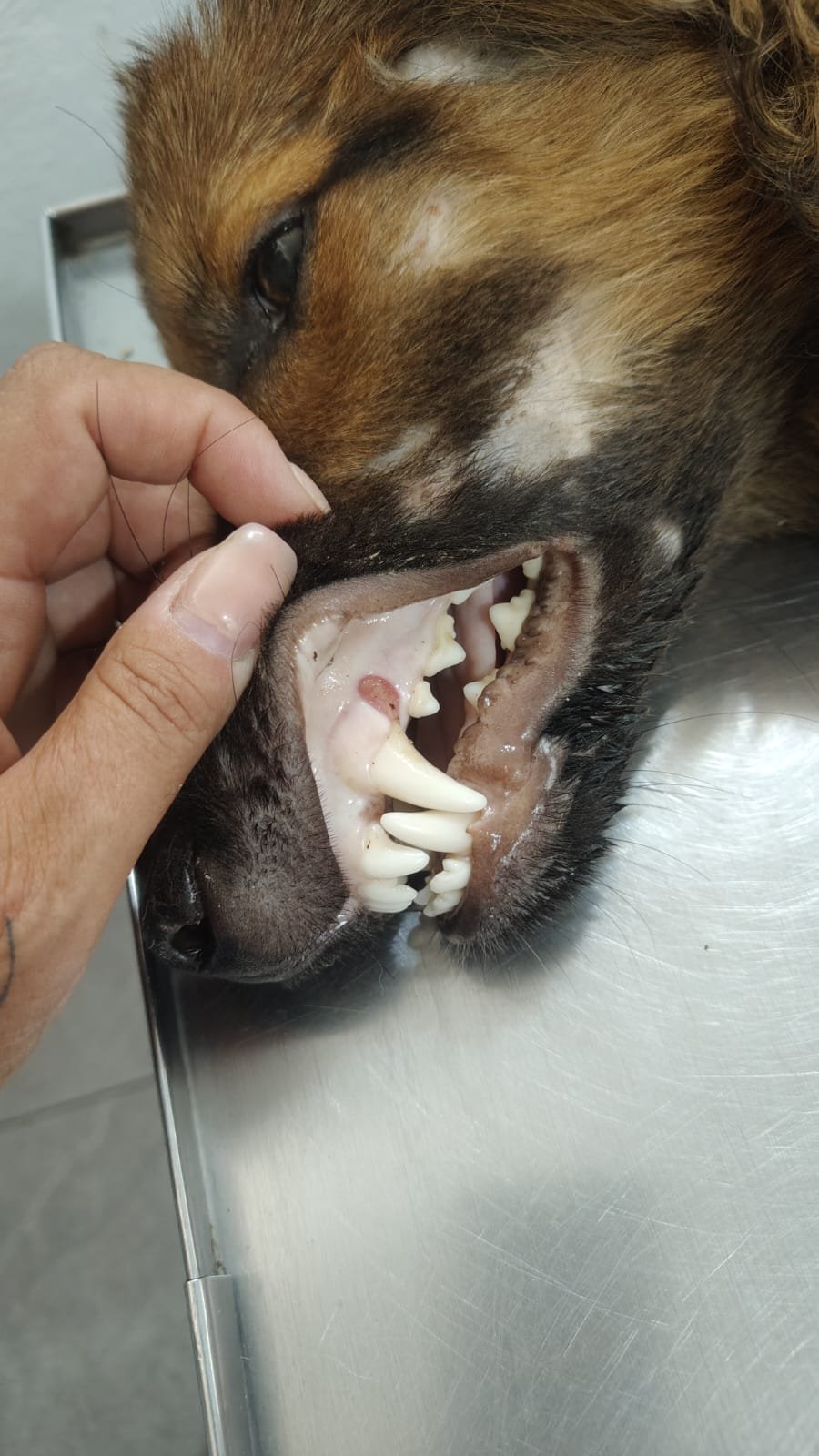 WhatsApp Image A 2026-08-19 at 17.05.25.jpeg