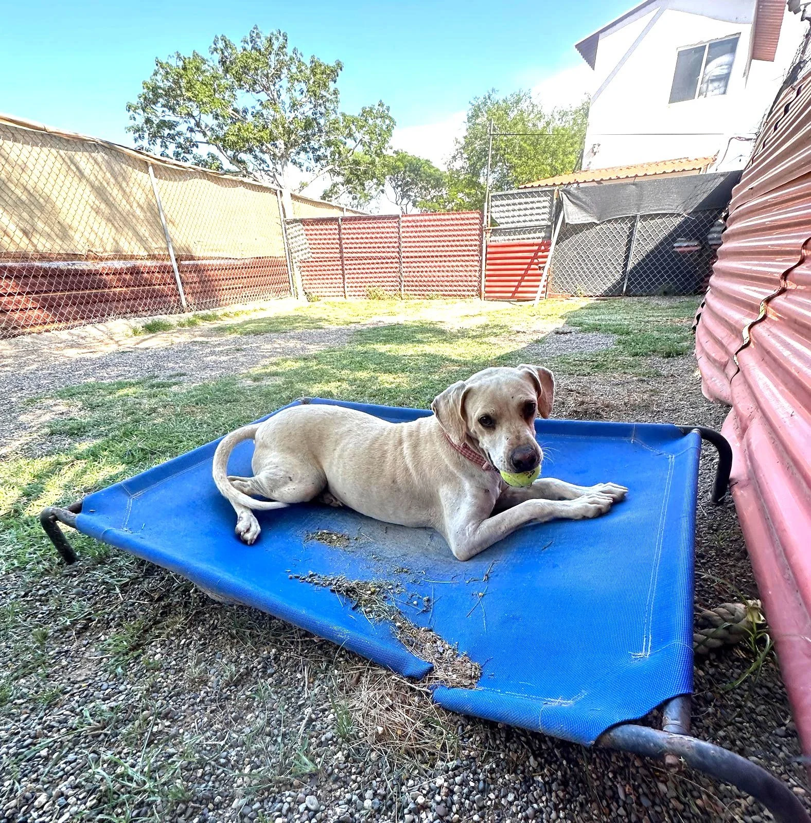 wat.jpeg