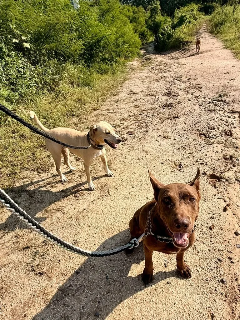 Zeus and Mayli.jpeg