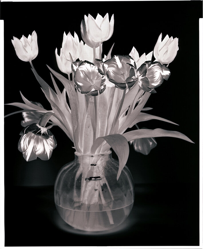 Tulips in Vase, 2014 