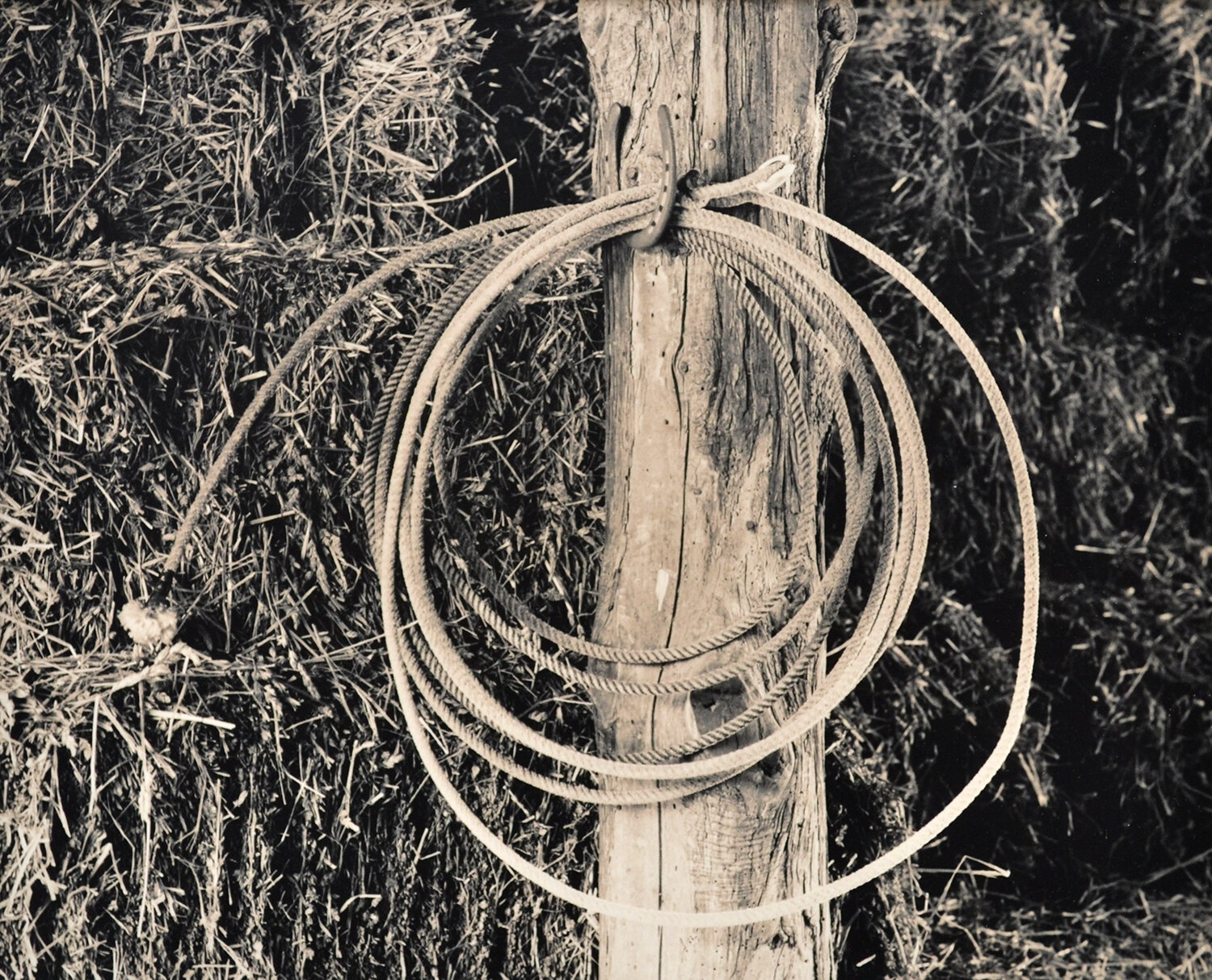Rope, 1993