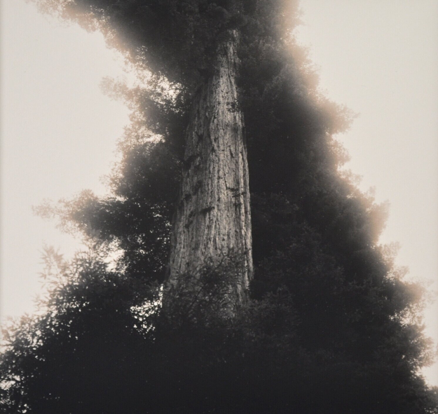Ching - The Well: Redwood, California, 1976