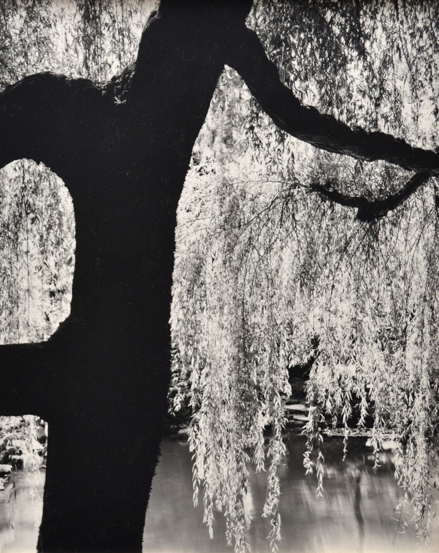 Janet Russek: Chien - Development (Gradual Progress): Japanese Gardens, Portland, Oregon, 1989