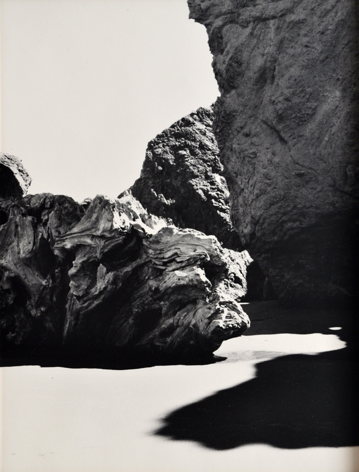 Janet Russek: Chien - Obstruction: Bandon Beach, Oregon, 1989