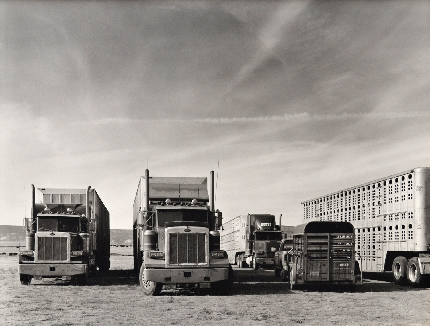 Janet Russek: Cattle Trucks, The Feed Lot, 1991